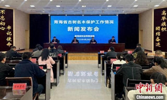 现存古树名木1332株不朽情缘游戏平台青海：(图1)